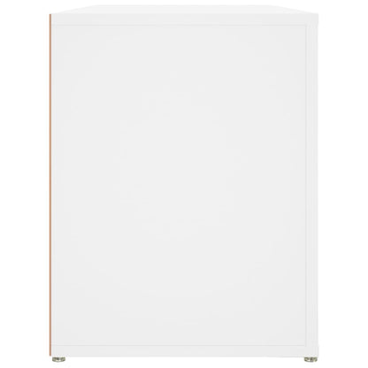 Shoe Cabinet Rich Grain Wood 2 Cabinets