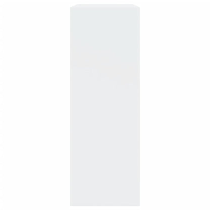Modern 18 Pair 31" Shoe Cabinet With 2 Flip Down Drawers